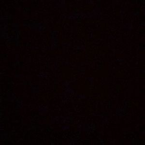 Meet your Posher, Jake